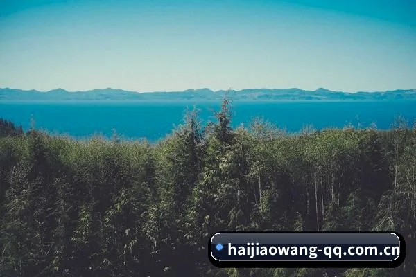 算力预测塌房